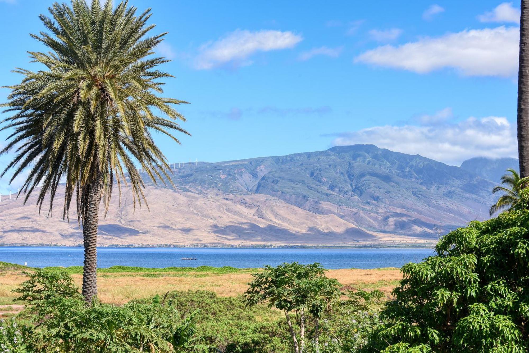 Kauhale Makai Villa Kihei Bilik gambar